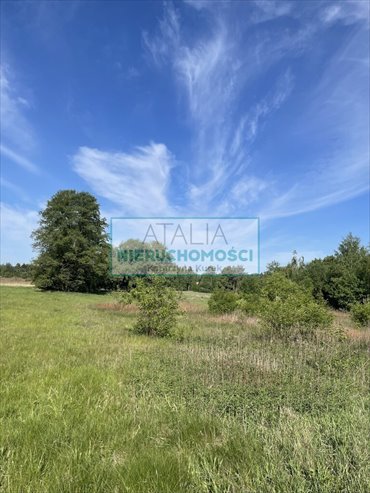 Działka 1000 m² w Walendowie, cicha okolica - polecam! działka Walendów