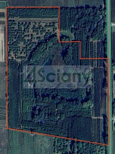 Na sprzedaż działka 8,12ha z stawem i zabudową w Woli Lewiczyńskiej działka Lewiczyn, Wola Lewiczyńska