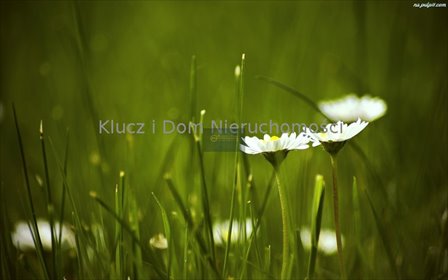 Działka 861 m² pod bliźniak z garażami, media, MPZP działka Piastów