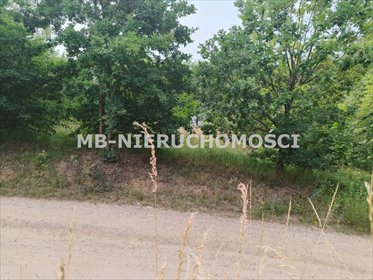Działka 3002 m² z widokiem na jezioro w Łutynowie działka Łutynowo