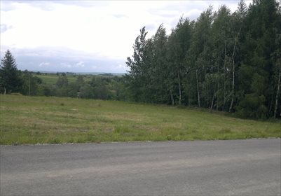 Działka budowlana na sprzedaż Niechobrz 7 400m2 Foto 3