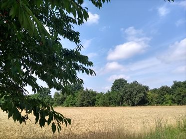 Działka budowlana na sprzedaż Orle Wielkie 1 000m2 Foto 1
