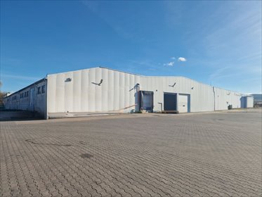 Magazyny i produkcja w Brzezinach, 2970 m², od 15,5 zł/m² lokal użytkowy Brzeziny