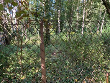 działka na sprzedaż 1250m2 działka Lutomiersk, Wrząca, Leśna