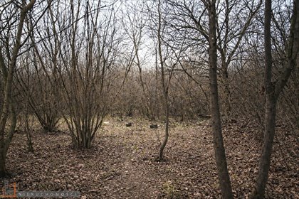 działka na sprzedaż 801m2 działka Bibice