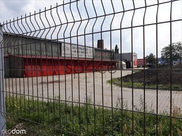 lokal użytkowy na wynajem 3000m2 lokal użytkowy Toruń