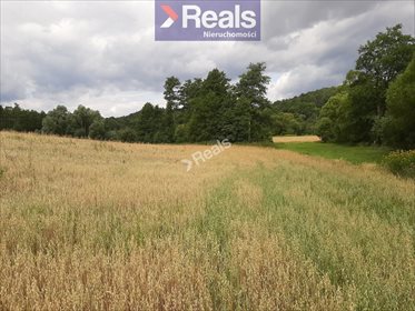 Działka budowlana na sprzedaż Rogóźno-Zamek 1 000m2 Foto 3