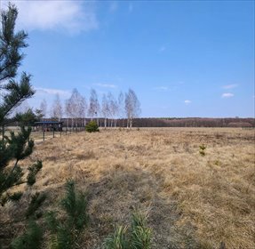 działka na sprzedaż 1523m2 działka Szczechy Wielkie