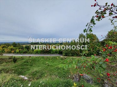 Polecam widokową działkę 1282 m² w Rokitnie Szlacheckim działka Rokitno Szlacheckie, Rokicka
