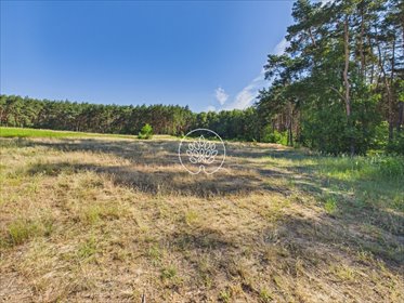 Działki 5277 m² z warunkami zabudowy, media w drodze działka Dobrzejewice