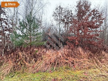 Polecam działkę 2132 m² z MPZP, las, media, blisko lasu działka Dąbrowa Chełmińska