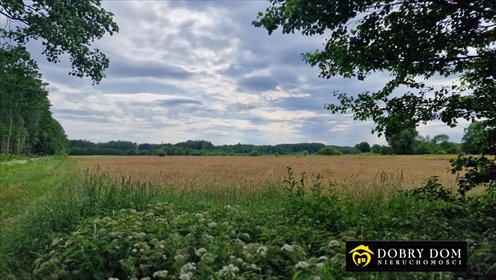 Działka 2,06 ha z wodą, media, na inwestycję działka Pokaniewo-Kolonia
