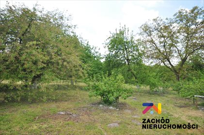 Lokal użytkowy na sprzedaż Jeninek 150m2 Foto 6
