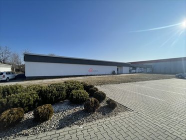Lokal użytkowy na wynajem Staszów, al. Tadeusza Kościuszki 350m2 Foto 3