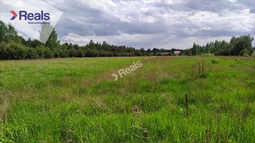 działka na sprzedaż 3000m2 działka Budy Józefowskie
