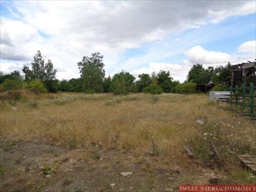 Magazyn na sprzedaż Prusice 6 900m2 Foto 5