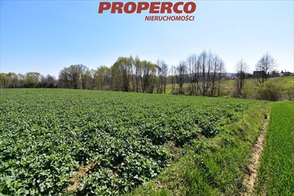 działka na sprzedaż 11760m2 działka Stara Słupia