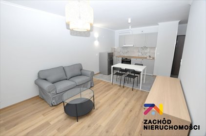 mieszkanie na wynajem 45m2 mieszkanie Zielona Góra