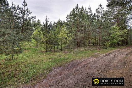 Polecam działkę 8 400 m² z warunkami na 3 domy w Chrabołach działka Chraboły