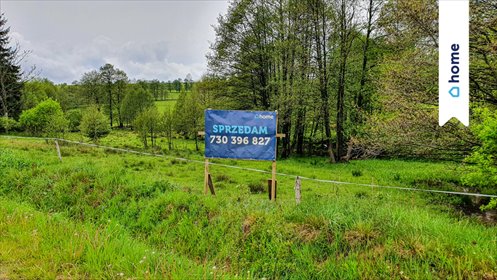 działka na sprzedaż 1281m2 działka Lesica