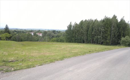 Działka budowlana na sprzedaż Niechobrz 7 400m2 Foto 2