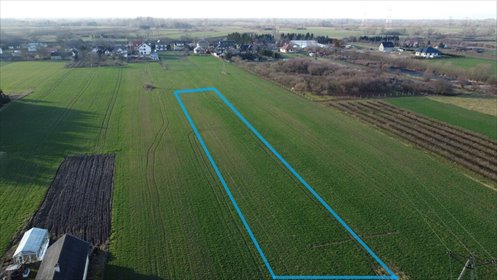 Działka rolna z możliwością zabudowy, 3123 m2, Gołąb działka Gołąb, Lotnisko