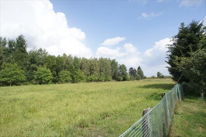 Działka rolna pod dzierżawę Krzywice 8 385m2 Foto 3