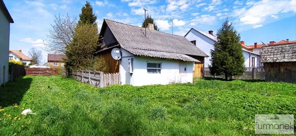 Działka budowlana na sprzedaż Aleksandrów 8 800m2 Foto 3