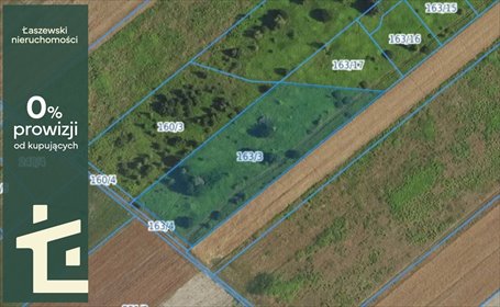 działka na sprzedaż 5535m2 działka Władysławów, Zielona