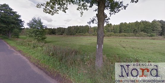 działka na sprzedaż 13391m2 działka Jastrzębna Pierwsza