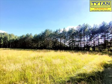 Działka leśna nad Narwią – 10 545 m2, cisza i natura działka Nowogród