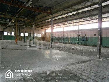 lokal użytkowy na wynajem 1085m2 lokal użytkowy Koszalin