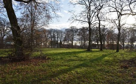 Dom na sprzedaż Krąpiel 2 200m2 Foto 6