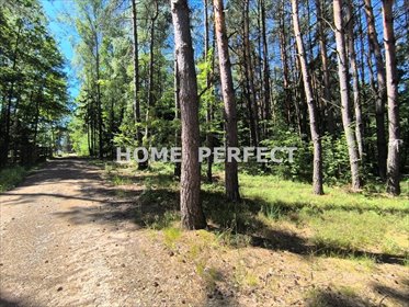 Działka 4754 m2 pod inwestycję w Życiny, blisko Zalewu działka Życiny