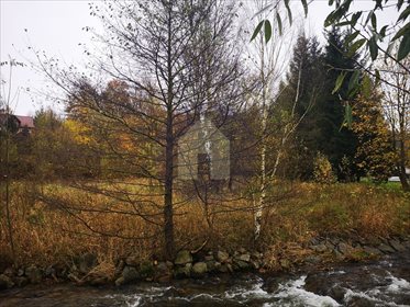 Działka inna na sprzedaż Nowy Gierałtów 6 400m2 Foto 4