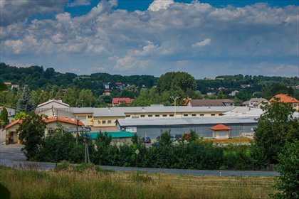 Magazyn na sprzedaż Lubenia, Lubenia 618 2 350m2 Foto 4