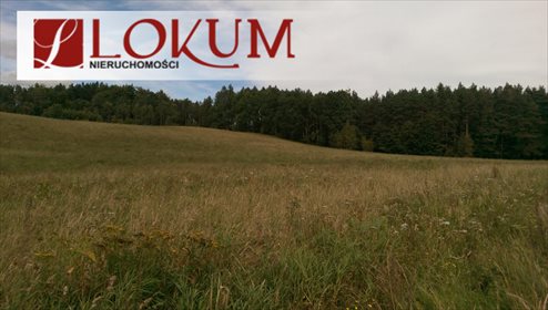 Działka budowlana na sprzedaż Sucha Huta 3 004m2 Foto 1