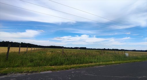 Działka na sprzedaż 5126m2 działka Borki Wielkie, Oleska