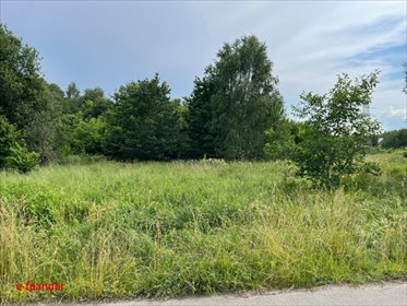 Do sprzedania działka usługowa 10 523 m² w Rędzinach działka Rędziny, Wyczerpy-Aniołów, Wolności