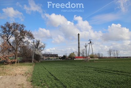działka na sprzedaż 6998m2 działka Krośniewice, Łęczycka