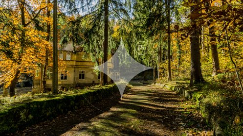 działka na sprzedaż 7998m2 działka Polanica-Zdrój, Piastowska