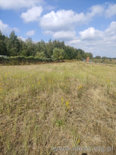 działka na sprzedaż 1234m2 działka Dobiesz, Wolska