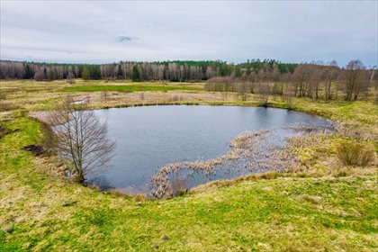 działka na sprzedaż 59900m2 działka Zielin