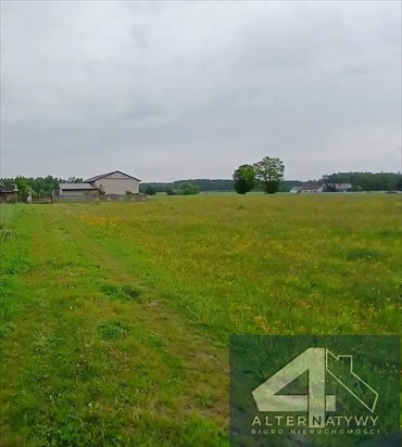 działka na sprzedaż 40000m2 działka Włodzimierz, Włodzimierz