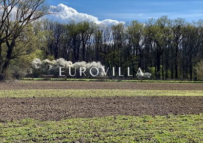 działka na sprzedaż 9500m2 działka Warszawa, Wilanów Zawady, Syta