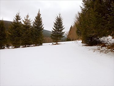 Działka rolna na sprzedaż Stary Gierałtów, Stronie Śląskie 30 300m2 Foto 5