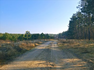 działka na sprzedaż 1200m2 działka Rajczyn