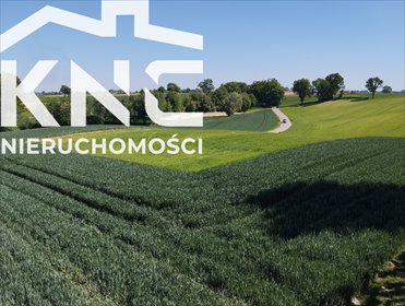 działka na sprzedaż 2500m2 działka Moszenki