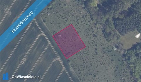 działka na sprzedaż 3003m2 działka Warcz