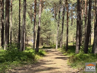 Działka 691 m² w Mrzeżynie (blisko plaży, las, media) działka Mrzeżyno